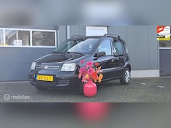 Fiat Panda - 1.2 Edizione Cool