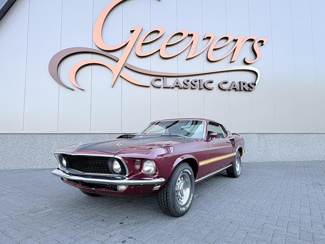 Ford Mustang - Mach 1 - AutoWereld.nl