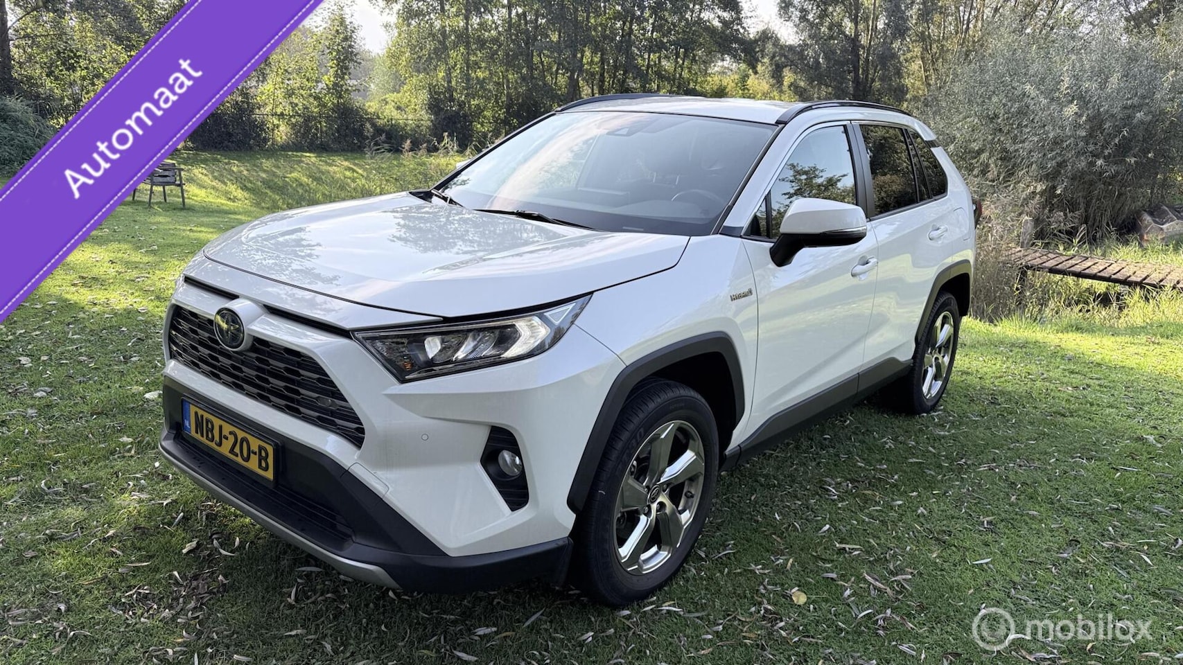 Toyota RAV4 - Hybrid Automaat met een beetje Diefstalschade - AutoWereld.nl