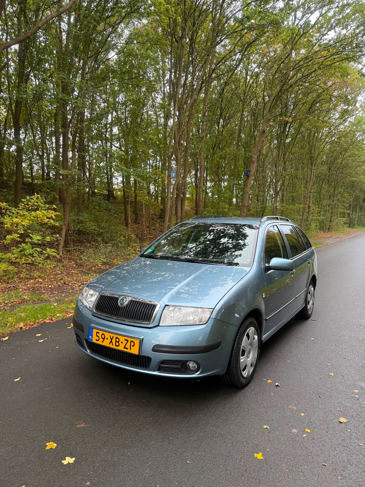 Skoda Fabia Combi - 1.4-16V Spirit+, 1e eigenaar, mooie staat!!! - AutoWereld.nl