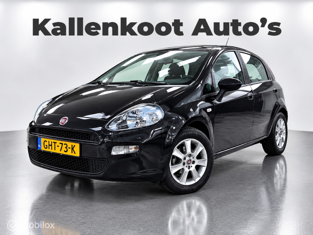 Fiat Punto - 1.2 (4 Cilinder) 5 Deurs, Airco, Trekhaak - AutoWereld.nl