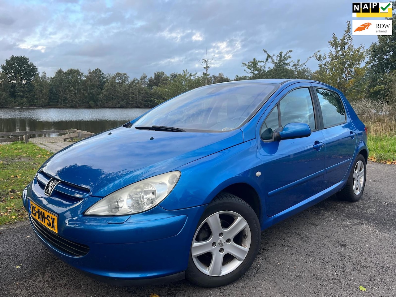 Peugeot 307 - 1.6-16V XT Premium | Clima | Trekhaak | APK 05-2027 - AutoWereld.nl