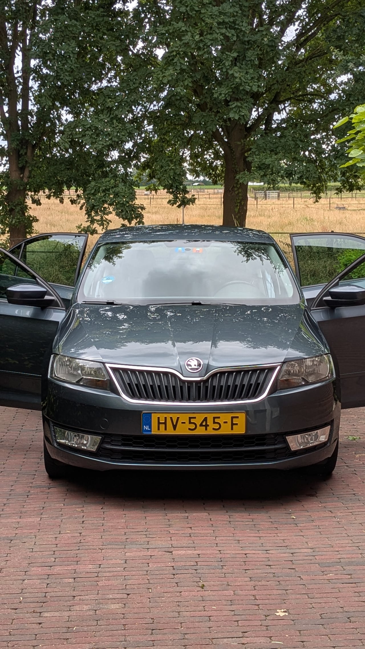 Skoda Rapid - 1.2 TSI Greentech Ambition Businessline 105 pk - AutoWereld.nl