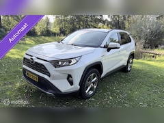 Toyota RAV4 - Hybrid Automaat met een beetje Diefstalschade