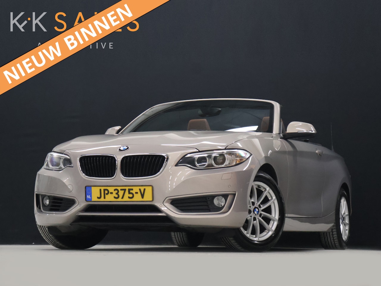 BMW 2-serie Cabrio - 218i Centennial High Executive [CRUISE CONTROL, STOELVERWARMING, PDC V+A, LEDER, CABRIO, N - AutoWereld.nl
