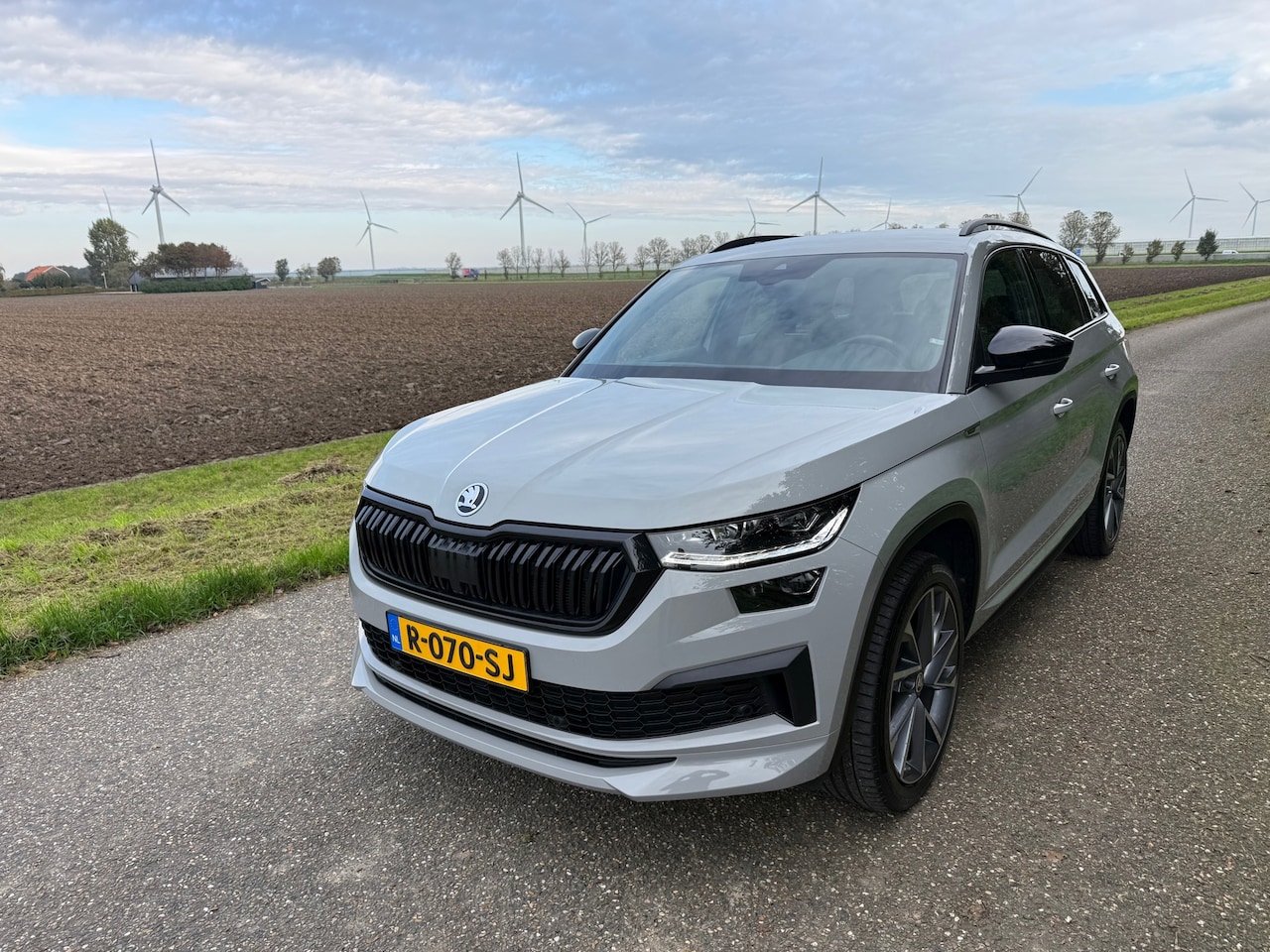 Skoda Kodiaq - 1.5 TSI DSG Sportline Business Camera Carplay Enz - AutoWereld.nl