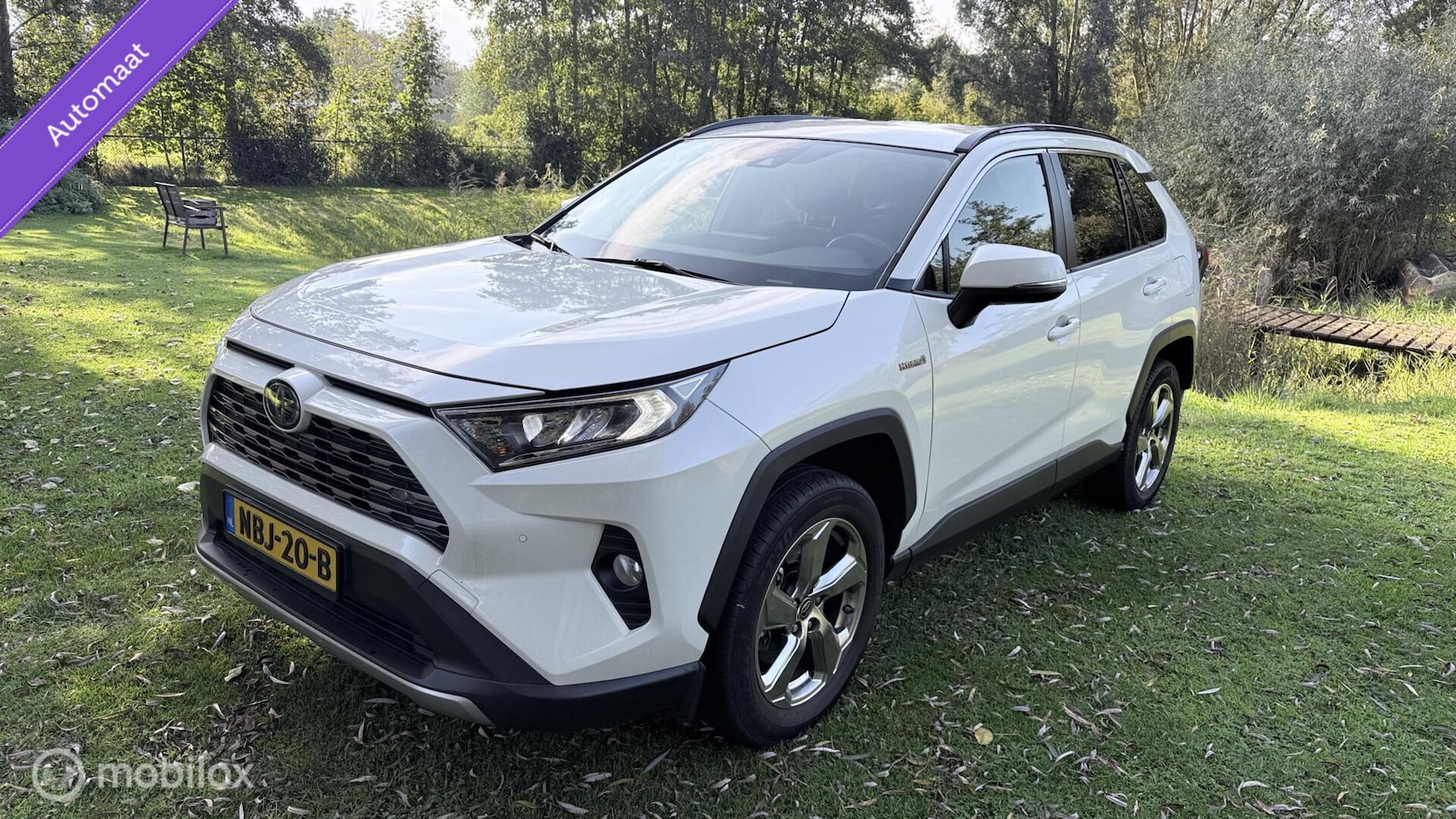Toyota RAV4 - Hybrid Automaat met een beetje diefstalschade - AutoWereld.nl