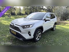 Toyota RAV4 - Hybrid Automaat met een beetje diefstalschade