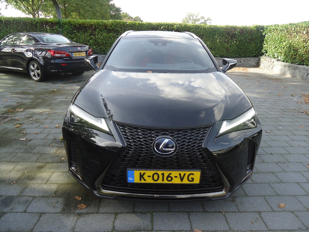 Lexus UX - 250h F Sport Line originele f sport - AutoWereld.nl