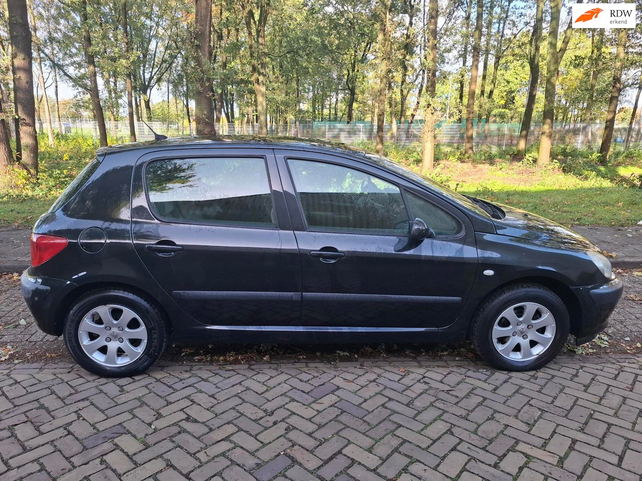 Peugeot 307 - 1.6-16V XT Pack 1.6-16V XT Pack - AutoWereld.nl