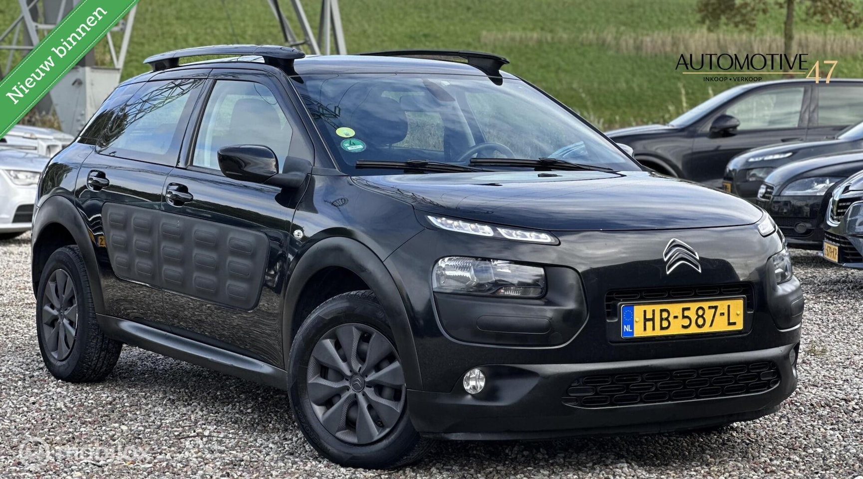 Citroën C4 Cactus - 1.6 BlueHDi Business Plus 1.6 BlueHDi Business Plus - AutoWereld.nl