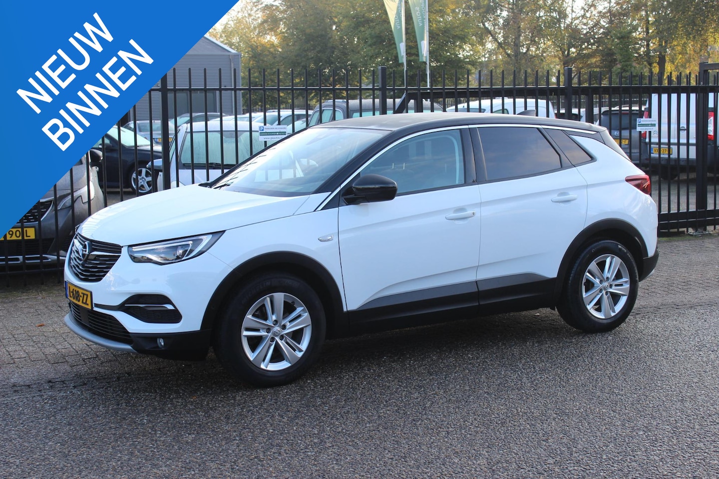 Opel Grandland X - 1.2 Turbo Business Elegance 1.2 Turbo Business Elegance, Trekhaak! - AutoWereld.nl