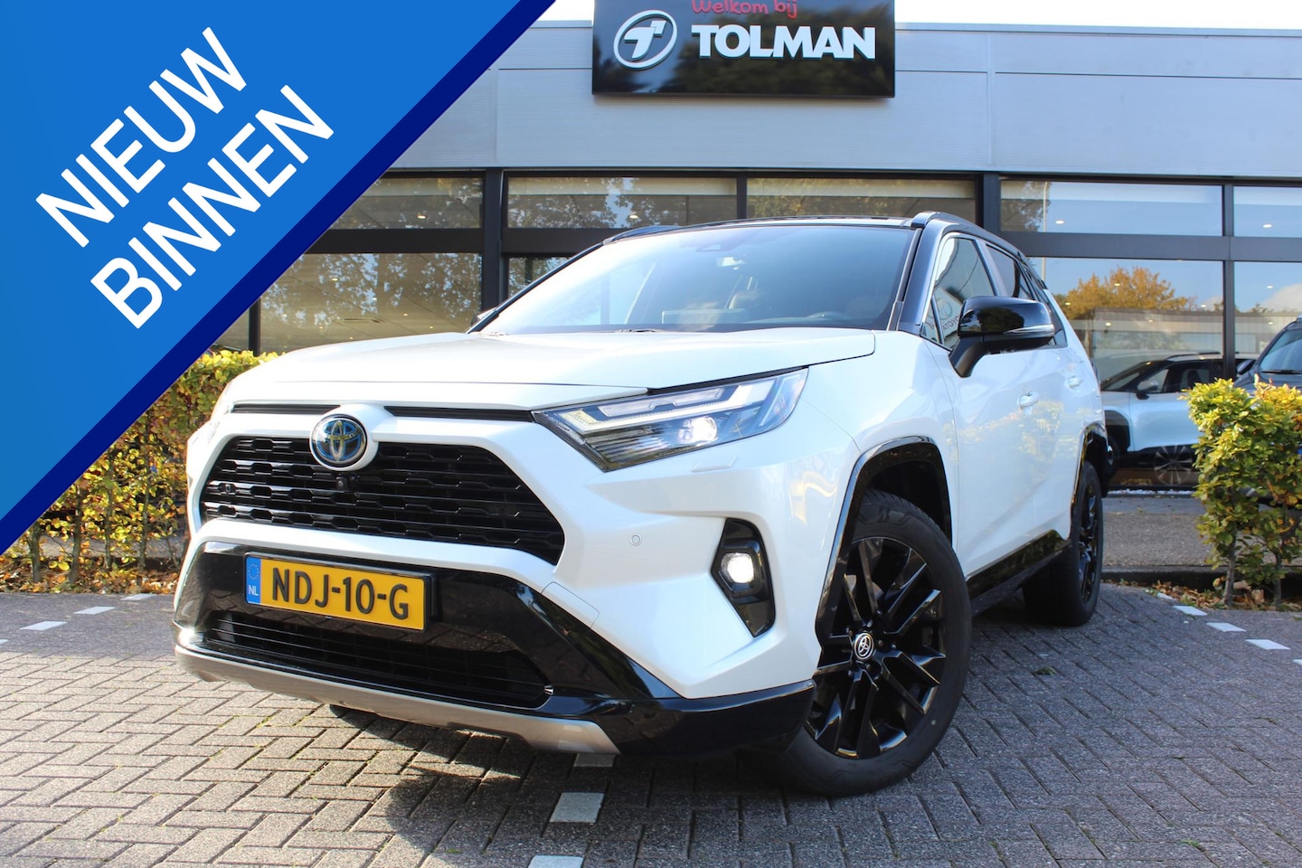 Toyota RAV4 - 2.5 Hybrid AWD Style Bi-Tone | Rijklaar | Pano | 360 camera | Stoel/Stuur-verw. | Adap. Cr - AutoWereld.nl