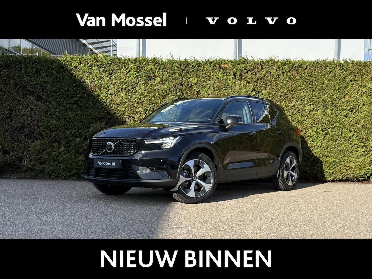 Volvo XC40 - B4 Plus Dark | H&K Audio | Trekhaak | - AutoWereld.nl