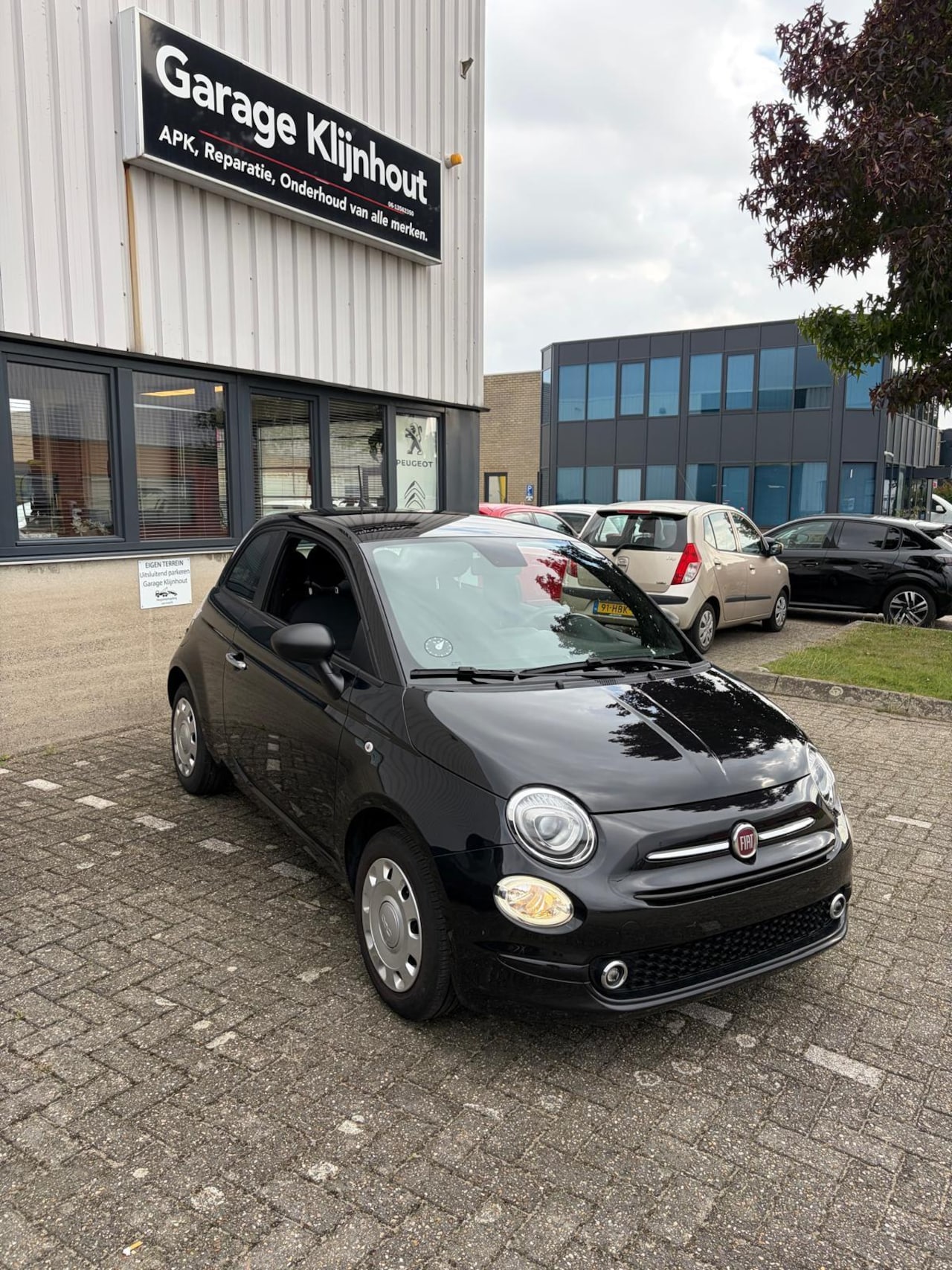 Fiat 500 - Vita - AutoWereld.nl
