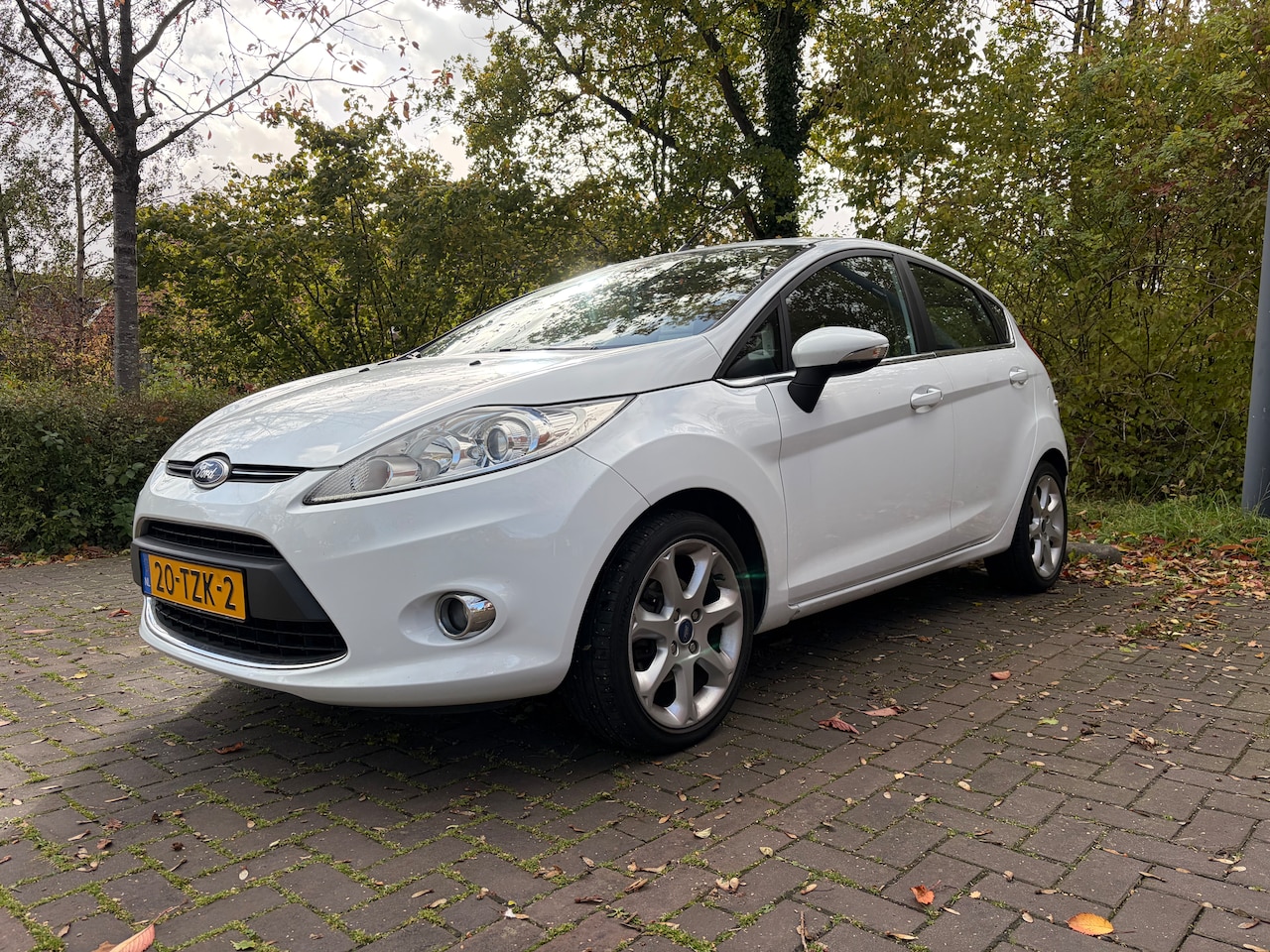Ford Fiesta - 1.25 Titanium Vol opties - AutoWereld.nl