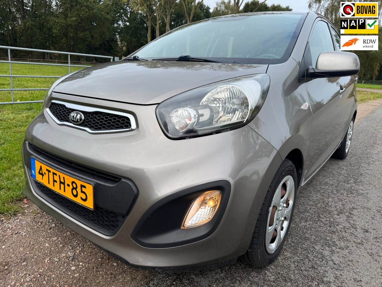 Kia Picanto - 1.0 CVVT ISG Comfort Pack top onderhouden|CarPlay/Android auto|airco - AutoWereld.nl