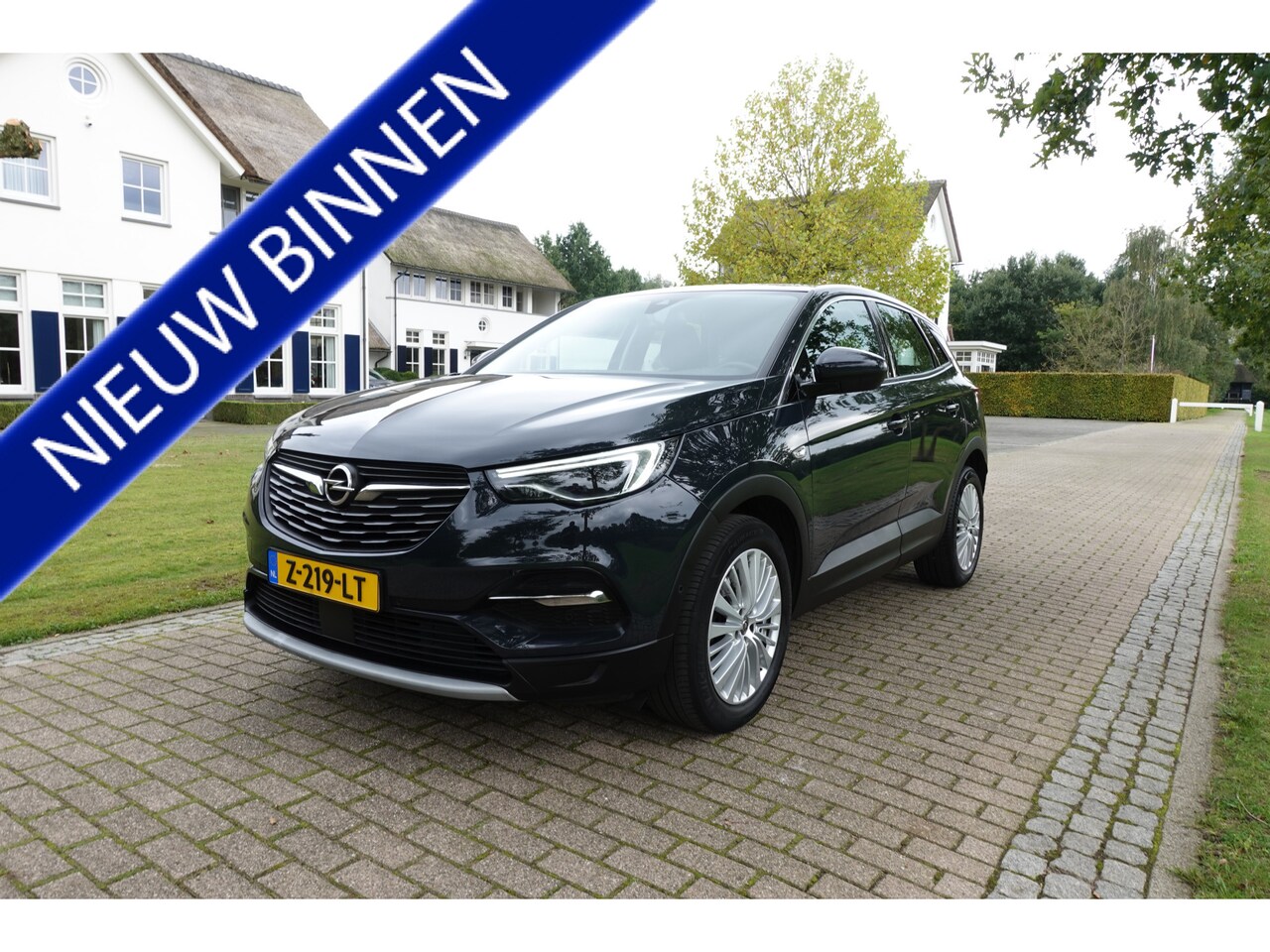 Opel Grandland X - 1.2 Turbo Business Edition - AutoWereld.nl