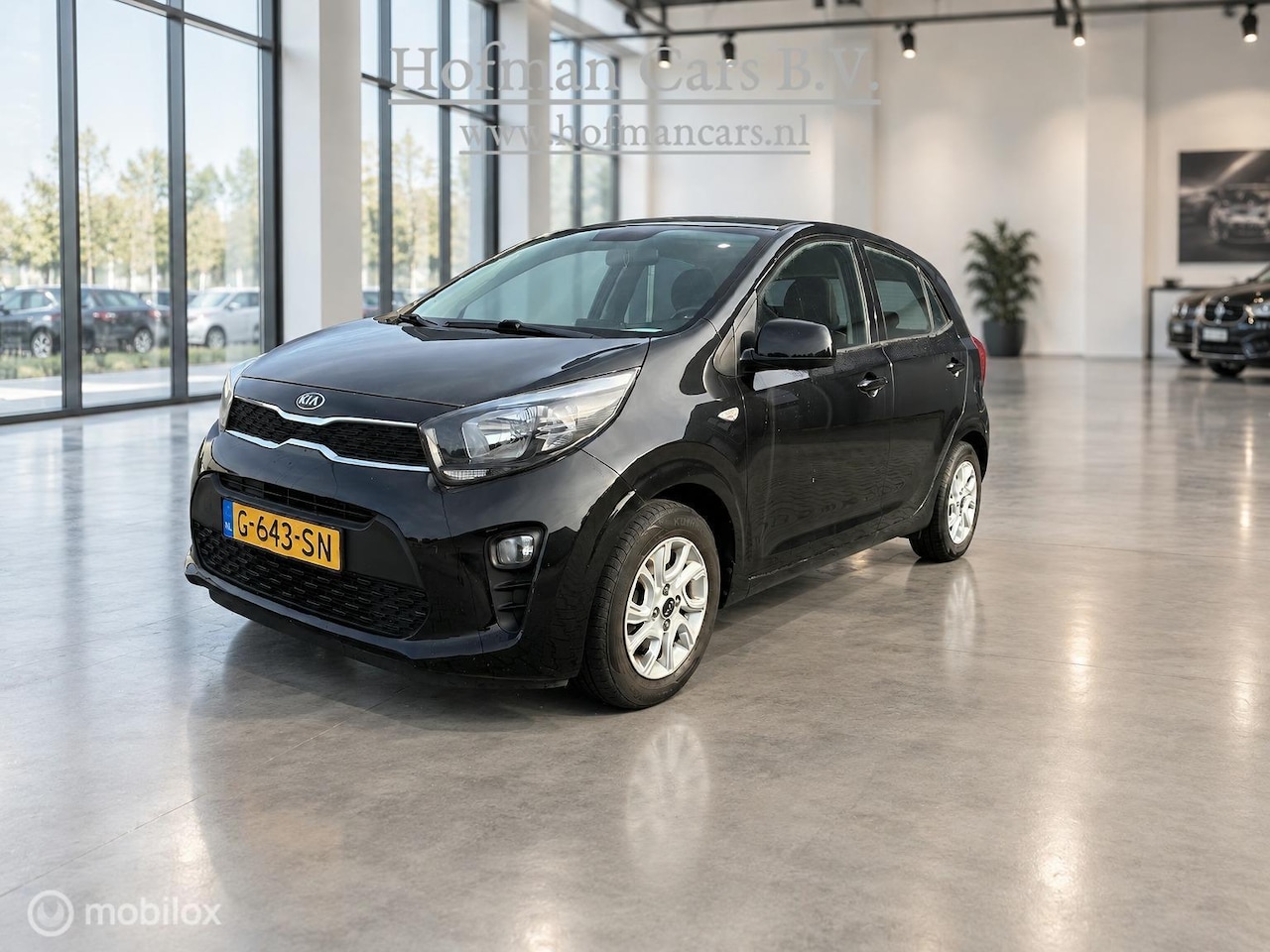 Kia Picanto - 1.0 CVVT DynamicLine | CarPlay | Camera | Airco | LM Velgen | 5-Deurs - AutoWereld.nl