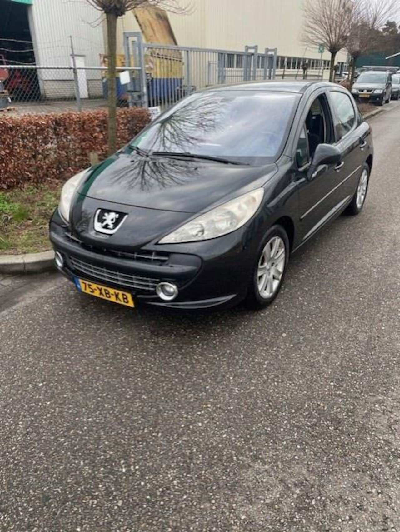 Peugeot 207 - 1.6 VTi XS Pack 1.6 VTi XS Pack - AutoWereld.nl