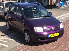 Fiat Panda - 1.2 Edizione Cool /AIRCO/NETTE STAAT/ PAARS VAN KLEUR
