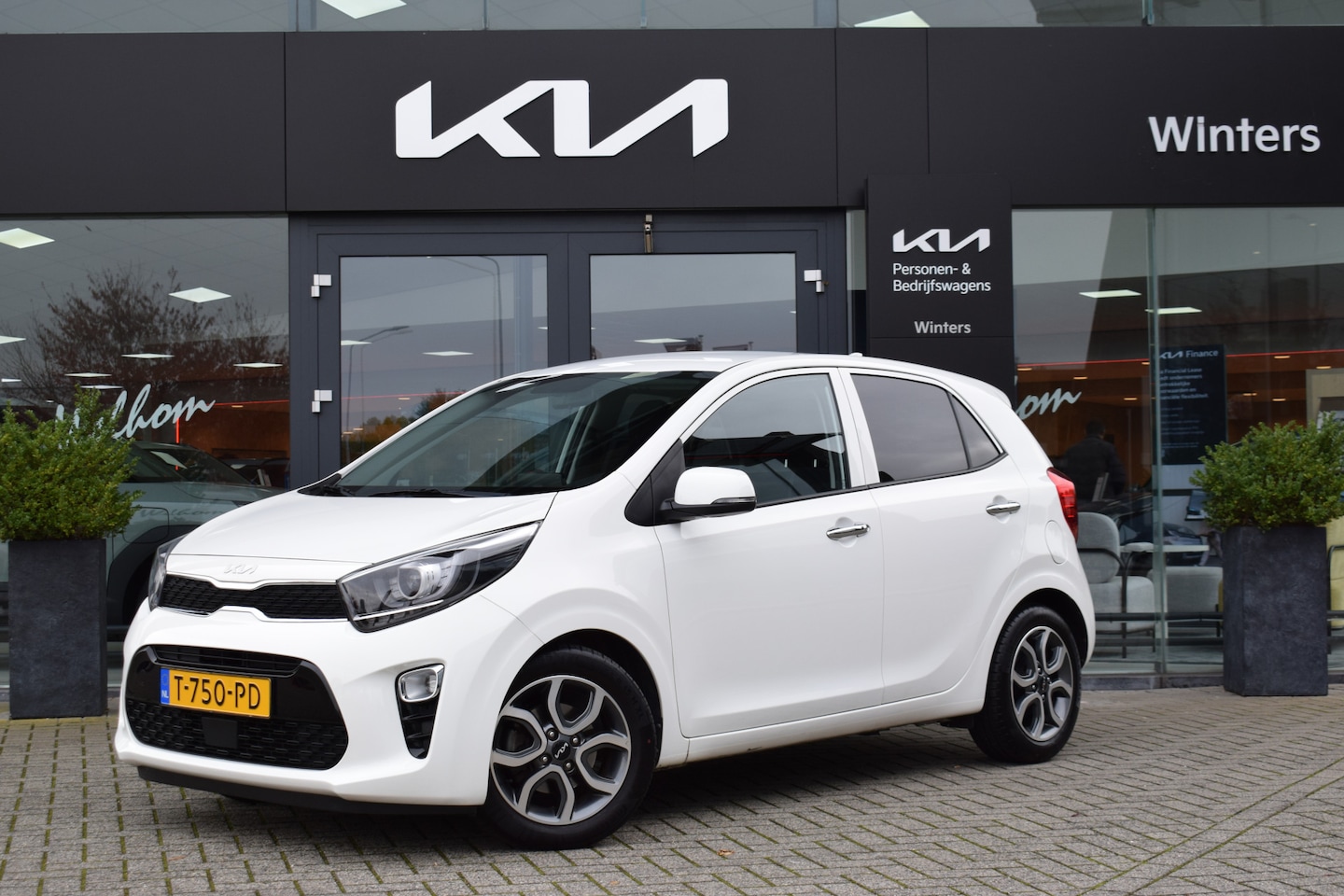 Kia Picanto - 1.0 DPi DynamicPlusLine Automaat | Camera | Climate & Cr.Control | Navi+Camera | PDC | LED - AutoWereld.nl