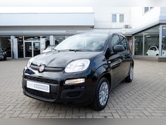 Fiat Panda - 1.0 Hybrid City / 5 zitpl. INCL. 2 jaar FabrieksGarantie
