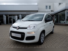 Fiat Panda - 1.0 Hybrid City / 5 zitpl. INCL. 2 jaar FabrieksGarantie