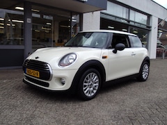 MINI One - 1.2 Salt Business