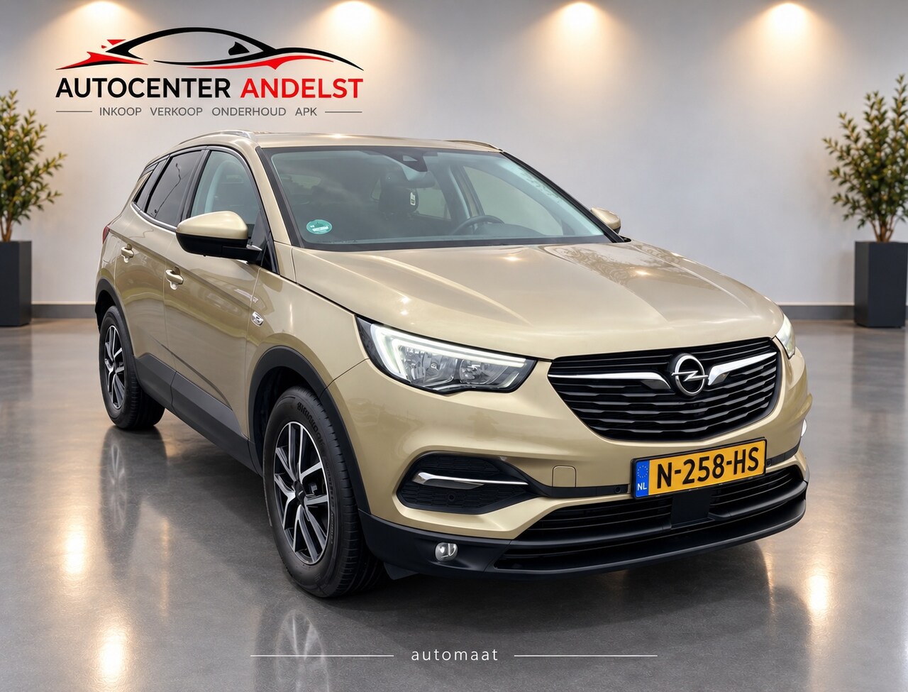 Opel Grandland X - 1.2 Turbo Innovation 1.2 Turbo Innovation, Aut, Trekhaak, Pdc, Stoelverw, Stuurverw, Cruise/Climate control! - AutoWereld.nl