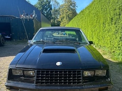 Ford Mustang - USA Foxbody 1979 8-cil automatic