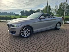 BMW 2-serie Cabrio - 220i High Executive Leer Stoelverw. Clima PDC v+a