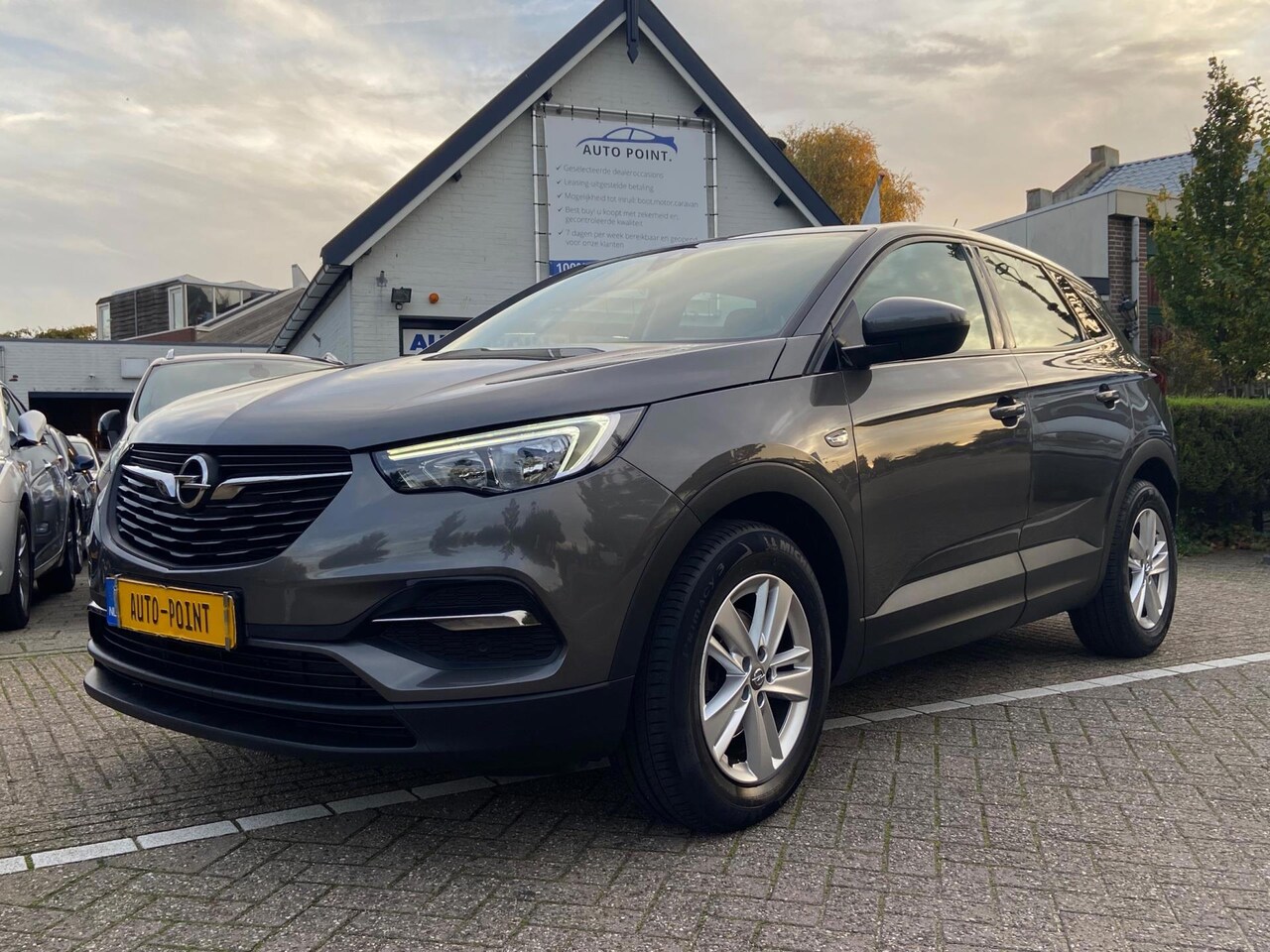 Opel Grandland X - 1.2 Turbo NAVI/CRUISE/PDC/79900KM/KEURIG - AutoWereld.nl