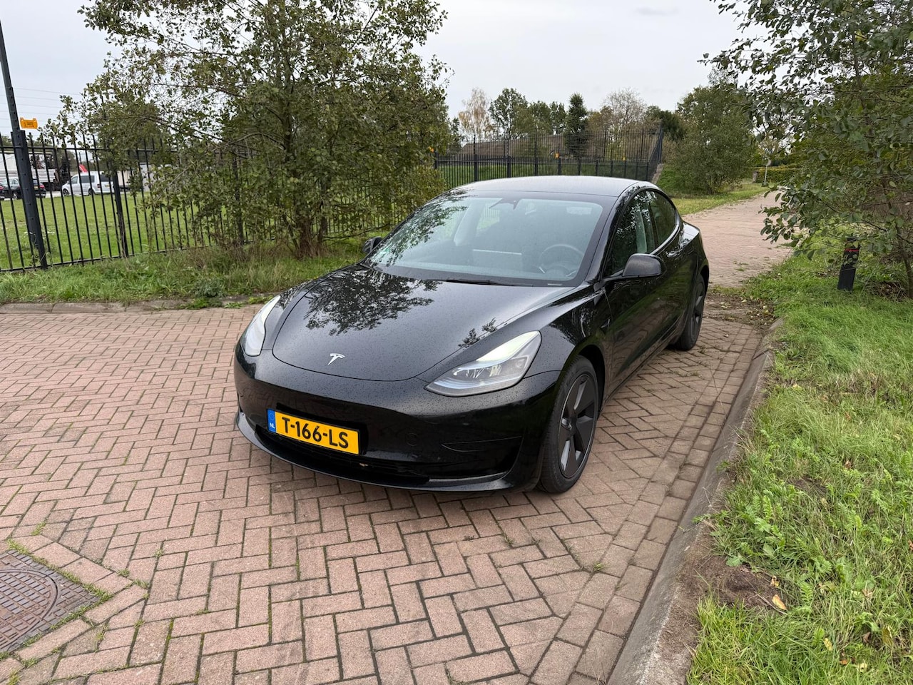 Tesla Model 3 - Standard RWD Plus - AutoWereld.nl
