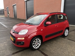 Fiat Panda - 1.2 Edizione Cool