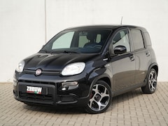 Fiat Panda - 1.0 Hybrid 70 PK Sport | Carplay | PDC | Privacy | 5zits | 1ste