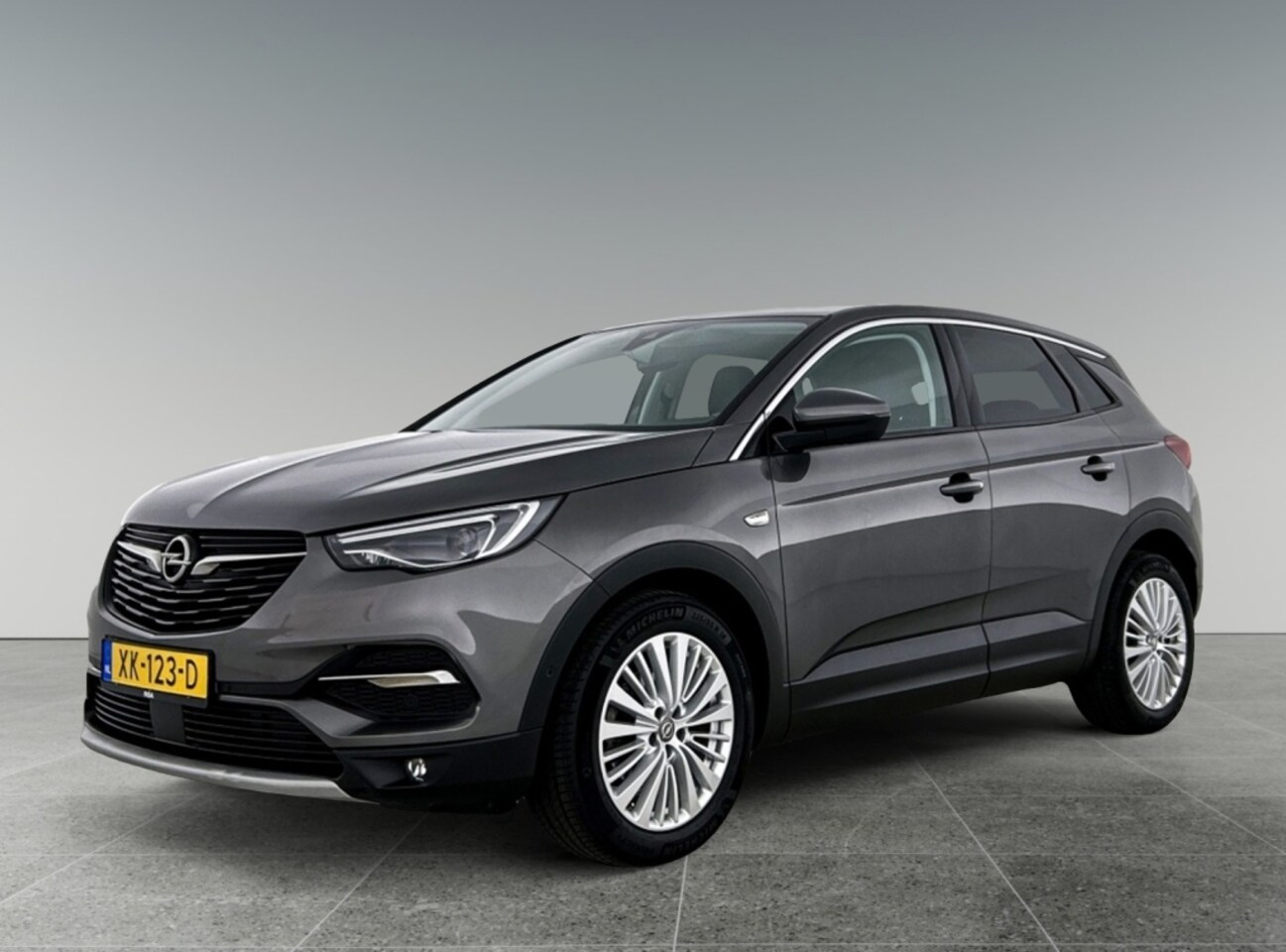 Opel Grandland X - 1.2 Turbo | Executive | Trekhaak - AutoWereld.nl