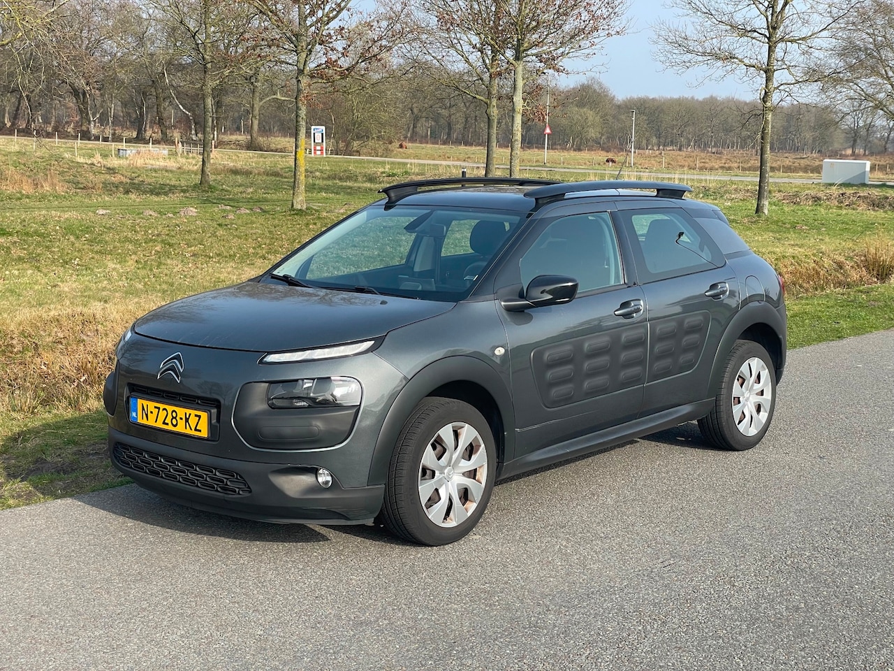 Citroën C4 Cactus - 1.2 PureTech CLIMA/CRUISE/CAMERA/Navi - AutoWereld.nl