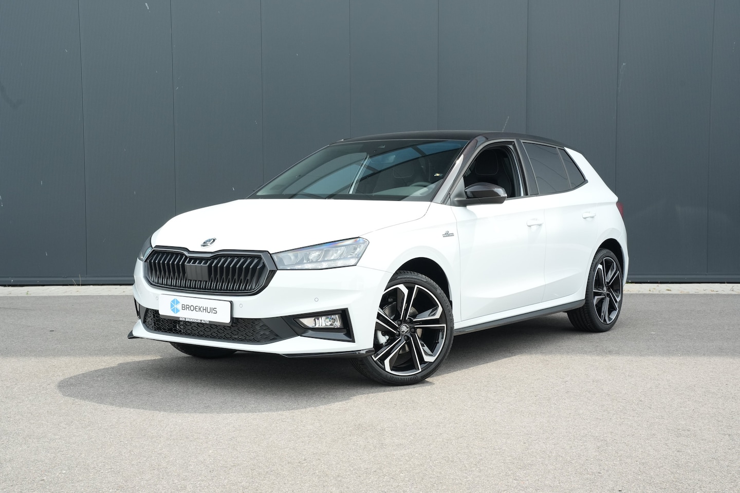 Skoda Fabia - Monte Carlo | Achteruitrijcamera | Cruise control met speedlimiter | Driver Activity Assis - AutoWereld.nl