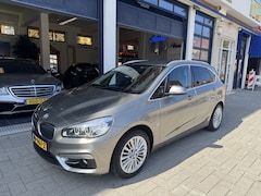BMW 2-serie Active Tourer - 225xe iPerformance Executive VEEL OPTIES