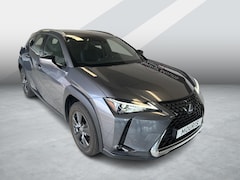 Lexus UX - 250h Business Line