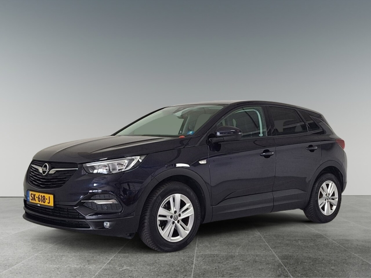 Opel Grandland X - 1.2 Turbo Online Edition|Trekhaak - AutoWereld.nl
