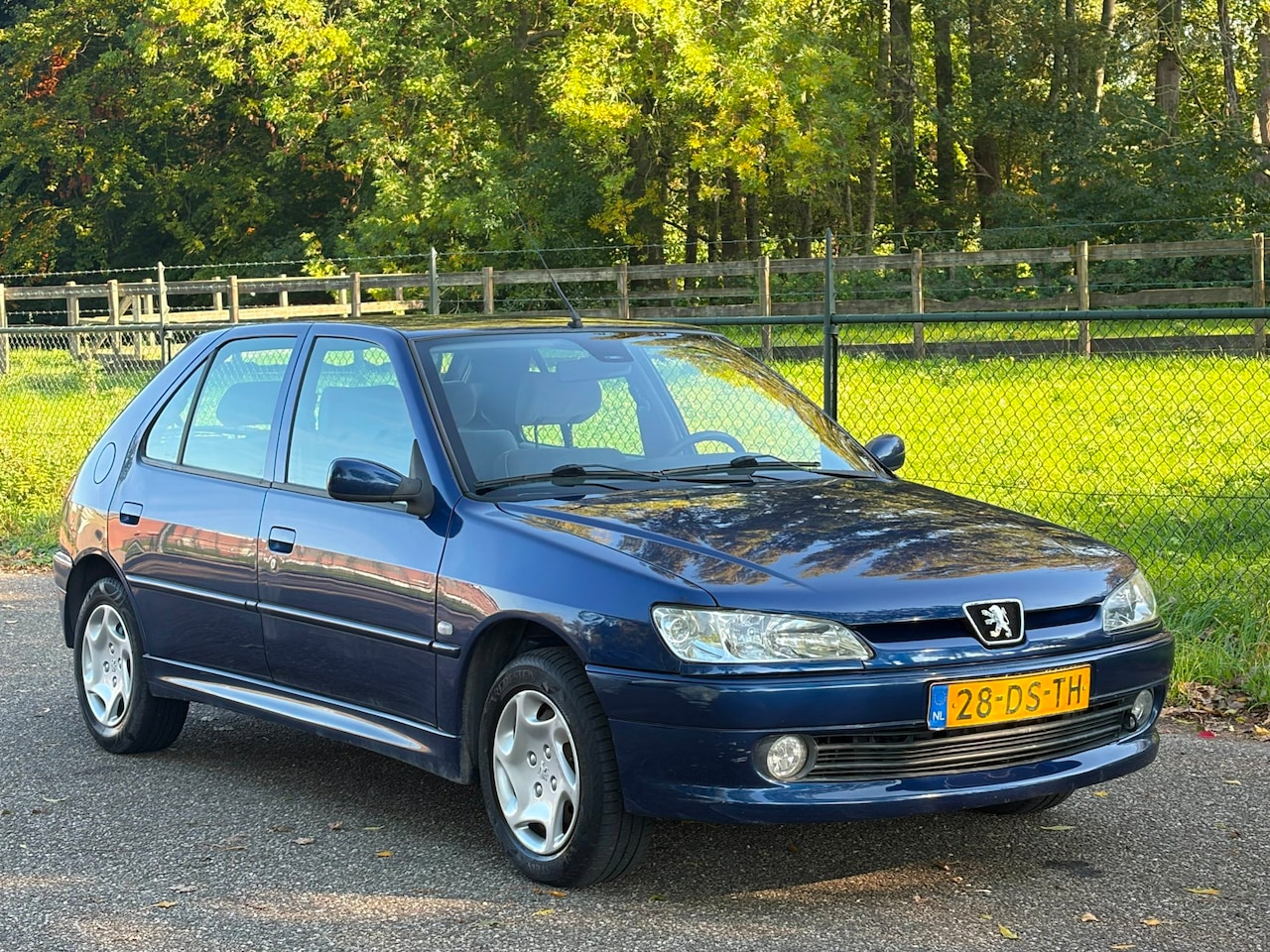 Peugeot 306 - 1.6 XT /Automaat/NW APK/ - AutoWereld.nl
