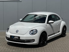 Volkswagen Beetle - 1.2 TSI Desige R CarPlay l Cruisecontrol