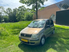 Fiat Panda - 1.2 Active Elekt ramen 184DKM