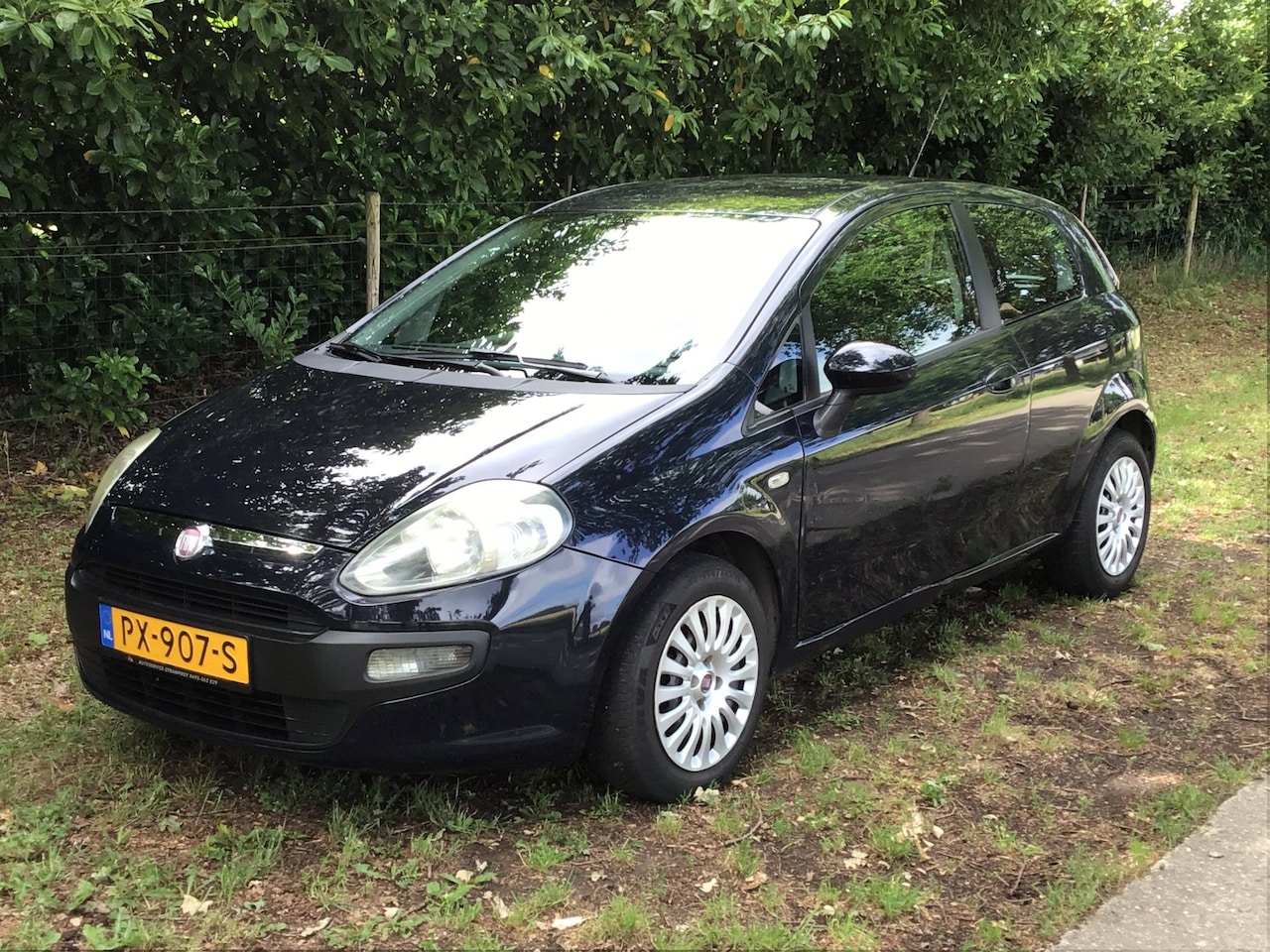 Fiat Punto Evo - 1.2 Pop met nieuwe APK en airco - AutoWereld.nl