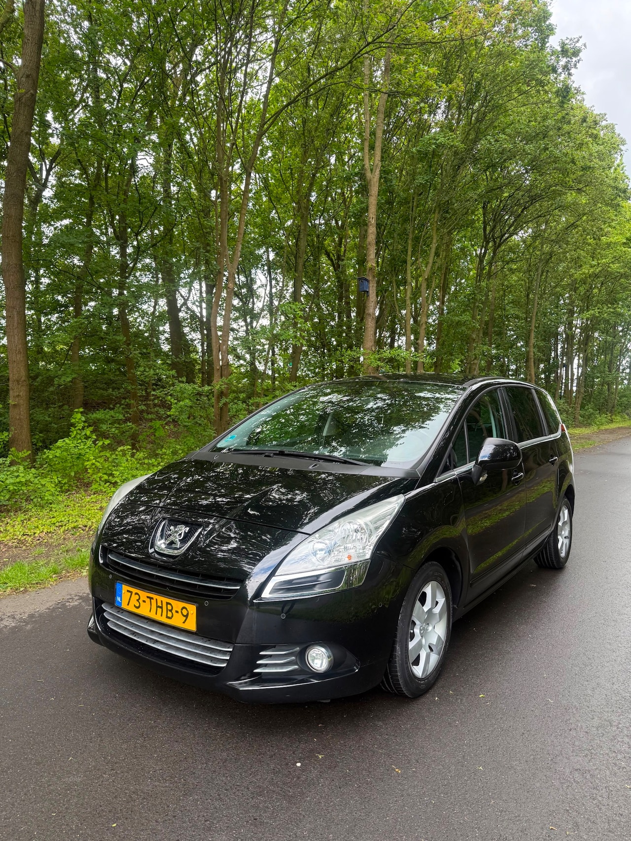 Peugeot 5008 - 1.6 VTi Blue Lease 7p. Nwe APK! - AutoWereld.nl