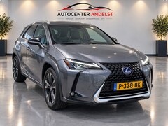 Lexus UX - 250h Business Line, Aut, Acc, Stoelvrw, Navi, Pdc, Cam, Leder, LED, Bluetooth, Lmv, Goed o