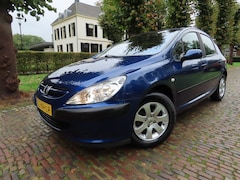 Peugeot 307 - 1.6-16V XT Pack Automaat Ecc Cruisecontrol 5 Drs Lm Velgen Trekhaak *Goed Onderhouden