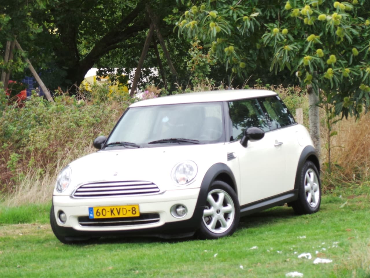 MINI 3-Deurs - 1.4 One Business Line ( INRUIL MOGELIJK ) - AutoWereld.nl